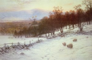 Met sneeuw bedekte velden met schapen